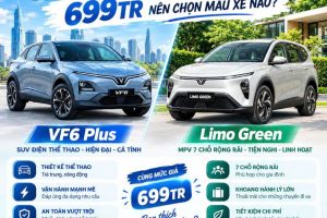 VF6-plus-vs-LimoGreen